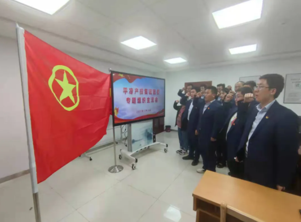 U8国际集团团委召开2021年度专题组织生活会(图5) U8国际集团团委召开2021年度专题组织生活会(图5)